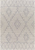 Surya Eagean EAG-2401 Area Rug main image