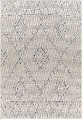 Surya Eagean EAG-2401 Area Rug main image