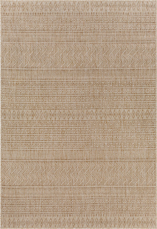 Surya Eagean EAG-2411 Area Rug main image