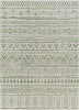 Surya Eagean EAG-2429 Area Rug main image