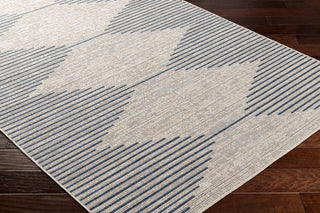 Surya Eagean EAG-2434 Area Rug main image