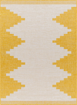 Surya Eagean EAG-2437 Area Rug main image