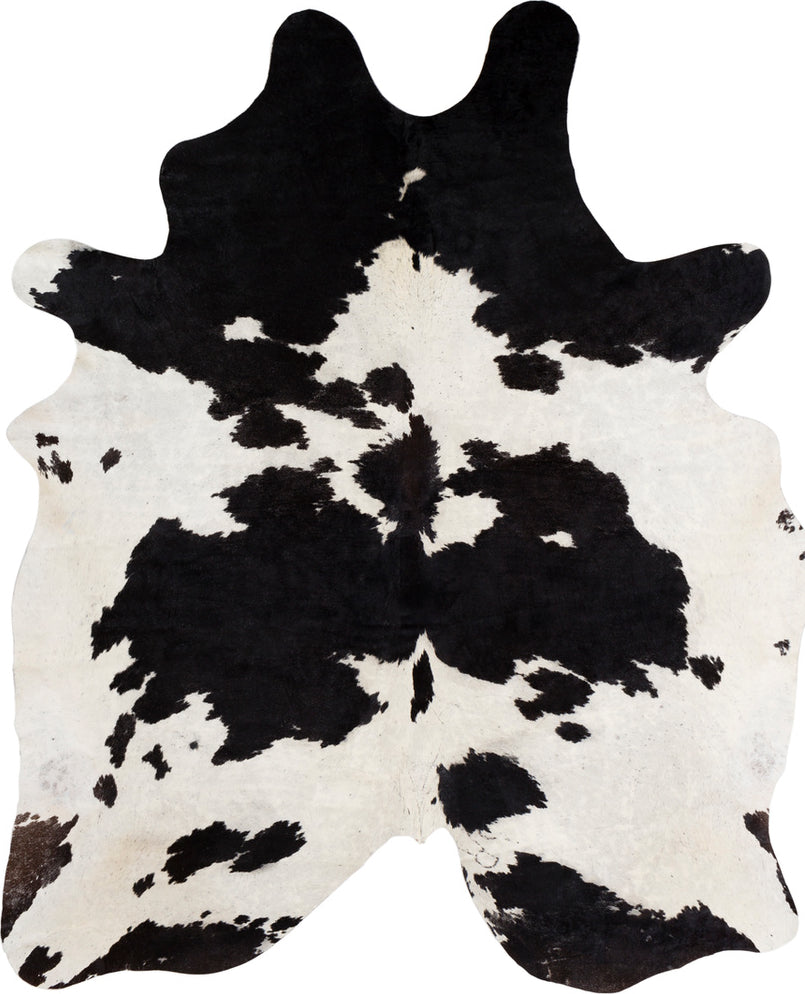 Surya Easton EAS-4001 Area Rug