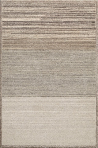 Surya Equilibrium EBM-1004 Taupe Cream Dark Brown Beige Area Rug main image