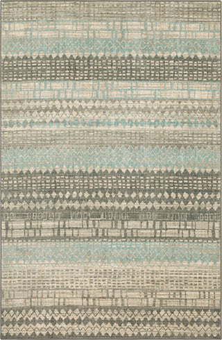 Karastan Euphoria Eddleston Ash Grey Area Rug Main Image