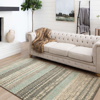 Karastan Euphoria Eddleston Ash Grey Area Rug Main Image