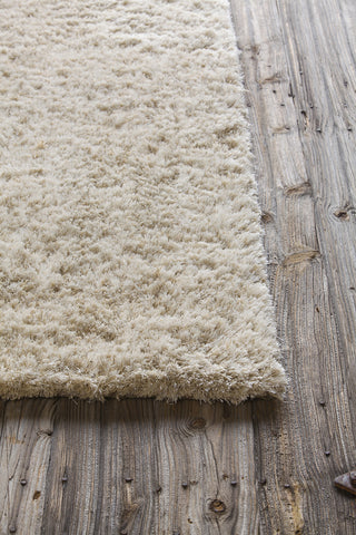 Chandra Edina EDI-18402 Tan Area Rug Corner Shot