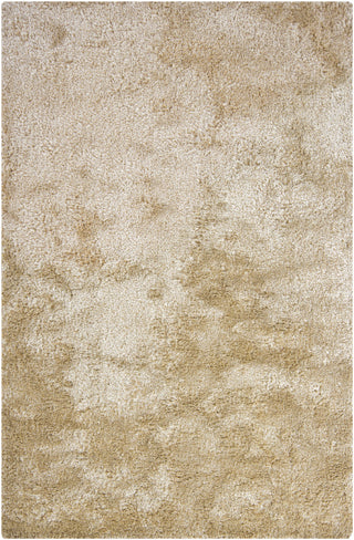 Chandra Edina EDI-18402 Tan Area Rug main image