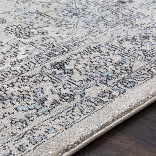 Surya Elise EIS-1007 Area Rug Texture Image