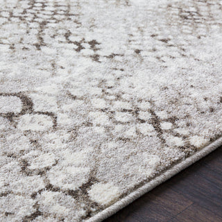 Surya Elise EIS-1010 Area Rug Texture Image