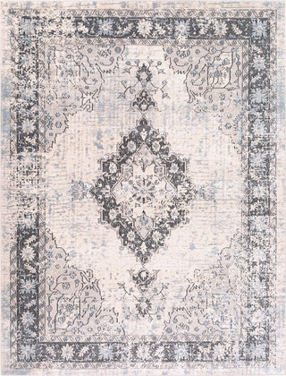 Surya Elise EIS-1016 Area Rug Main Image 8 X 10