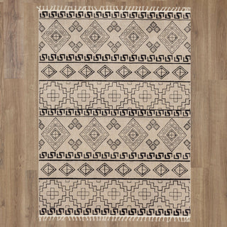 Karastan Rendition Elda Oyster Area Rug by Stacy Garcia Main Image