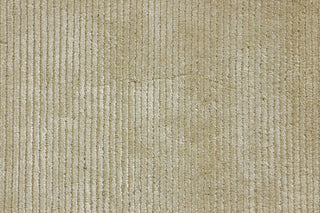 Loloi Electra ET-01 Ivory Area Rug Close Up