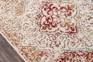 Momeni Ellsworth ELL-1 Ivory Area Rug Close up