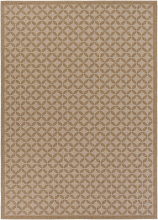 Surya Elements ELT-1002 Mocha Area Rug 7'10 x 11'1