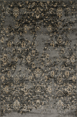 Loloi Elton EO-09 Pewter / Beige Area Rug Main Feature