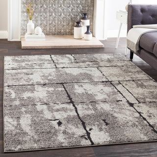 Surya Elaziz ELZ-2325 Area Rug Room Image Feature