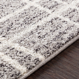 Surya Elaziz ELZ-2328 Area Rug Texture Image