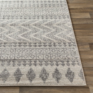 Livabliss Elaziz ELZ-2352 Area Rug