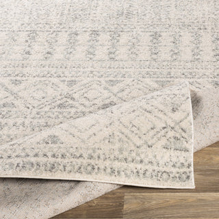 Livabliss Elaziz ELZ-2354 Area Rug