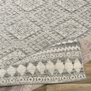 Surya Elaziz ELZ-2357 Area Rug