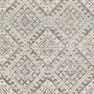 Surya Elaziz ELZ-2357 Area Rug