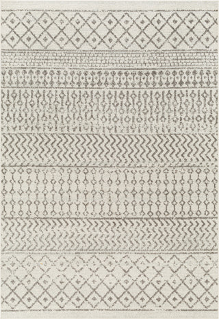 Surya Elaziz ELZ-2369 Area Rug main image