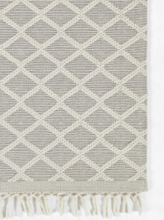 Momeni Ember EMR-2 Ivory Area Rug Corner Image