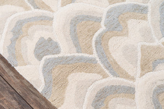 Momeni Embrace Adventure EMB-1 Taupe Area Rug by MADCAP Close up