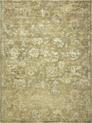 Ancient Boundaries Emily EMI-04 Area Rug main image