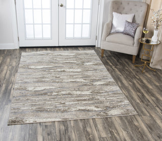 Rizzy Encore EN7264 Beige Area Rug  Feature