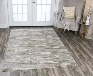 Rizzy Encore EN7264 Beige Area Rug 