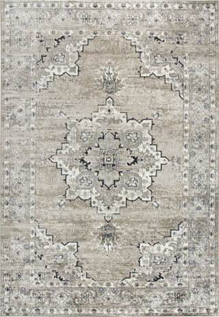 Rizzy Encore EN7351 Med Brown Area Rug main image