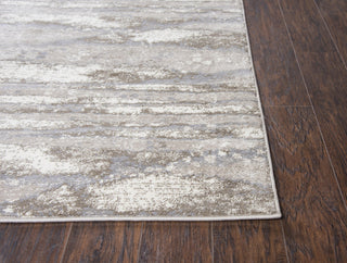 Rizzy Encore EN7264 Beige Area Rug Detail Image