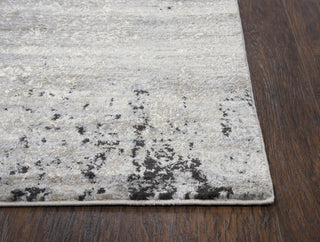 Rizzy Encore EN7270 Beige Area Rug Detail Image