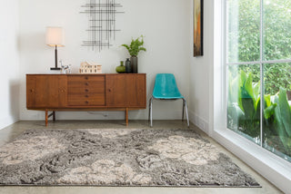 Loloi Enchant EN-03 Smoke / Beige Area Rug Detail Shot