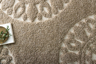 Loloi Enchant EN-05 Beige Area Rug Close Up