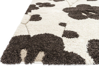 Loloi Enchant EN-08 Ivory / Expresso Area Rug 