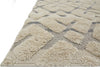 Loloi Enchant EN-31 Sand/Multi Area Rug Detail Shot Feature