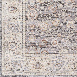 Surya Enamorado ENO-2305 Area Rug Swatch