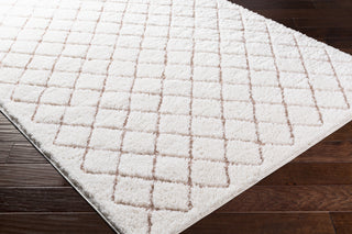 Livabliss Elenor ENR-2320 Area Rug