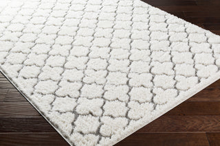 Surya Elenor ENR-2321 Area Rug