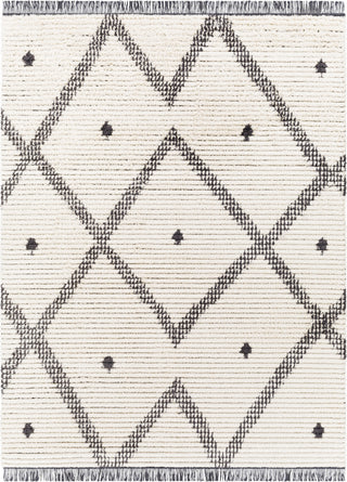 Surya Enzo ENZ-2301 Area Rug main image