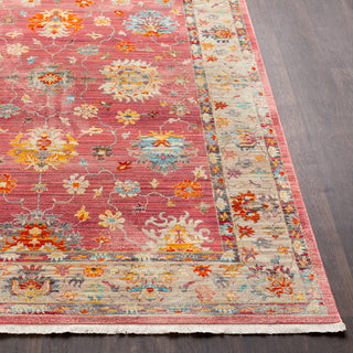 Surya Ephesians EPC-2306 Pale Pink Rose Medium Gray Silver Cream Beige Saffron Burnt Orange Bright Red Aqua Area Rug Detail Image