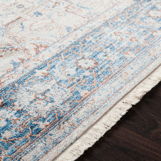 Surya Ephesians EPC-2312 Sky Blue Cream Aqua Medium Gray Beige Burnt Orange Bright Red Area Rug Texture Image