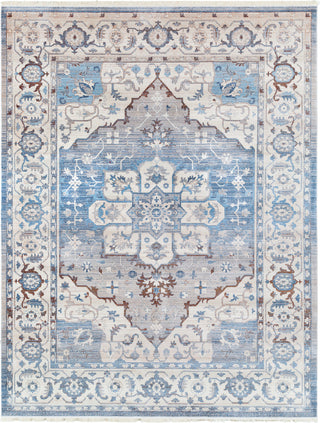 Surya Ephesians EPC-2317 Sky Blue Beige Medium Gray Silver Wheat Tan Camel Aqua Area Rug Main Image 8 X 10