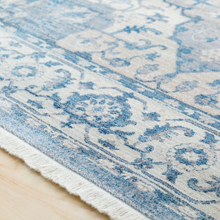 Surya Ephesians EPC-2317 Sky Blue Beige Medium Gray Silver Wheat Tan Camel Aqua Area Rug Texture Image