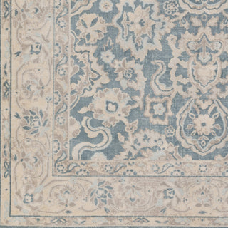 Artistic Weavers Ephesus Candace Light Blue/Beige Multi Area Rug Swatch