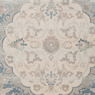 Artistic Weavers Ephesus Magnolia Denim Blue/Light Blue Area Rug Swatch