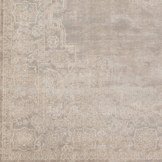 Artistic Weavers Ephesus Ryley Taupe/Ivory Area Rug Swatch